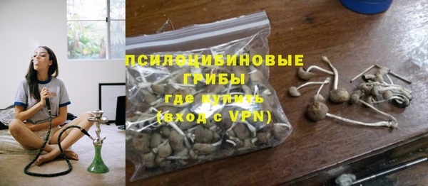 PSILOCYBIN Верея