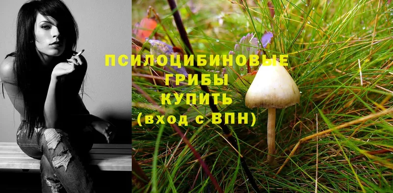 Галлюциногенные грибы Magic Shrooms  blacksprut маркетплейс  мориарти как зайти  Чулым 